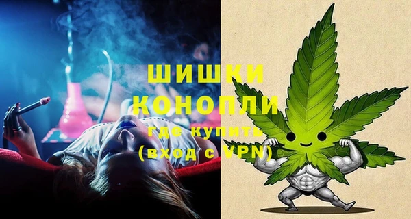 винт Аркадак