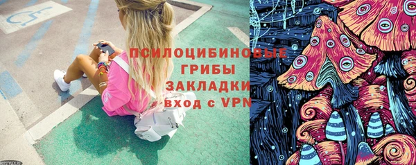 винт Аркадак